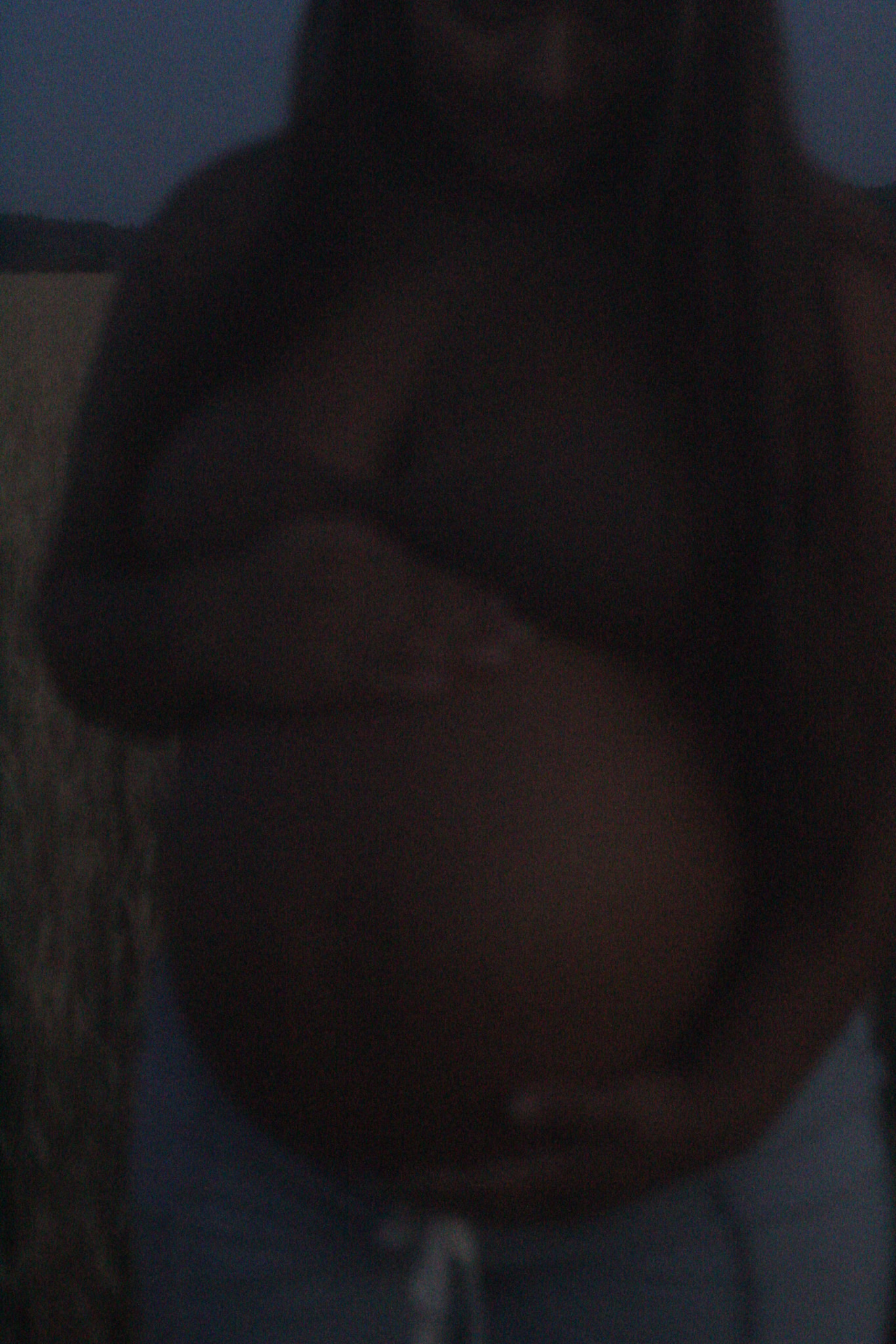 pregnancy photo 3